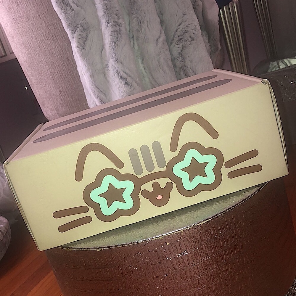 Pusheen box